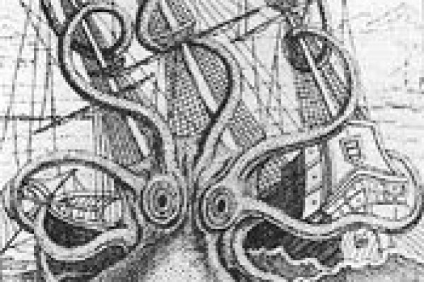 Ссылка на кракен krakens13 at