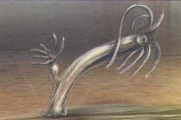 Ссылка на кракен krakens13 at